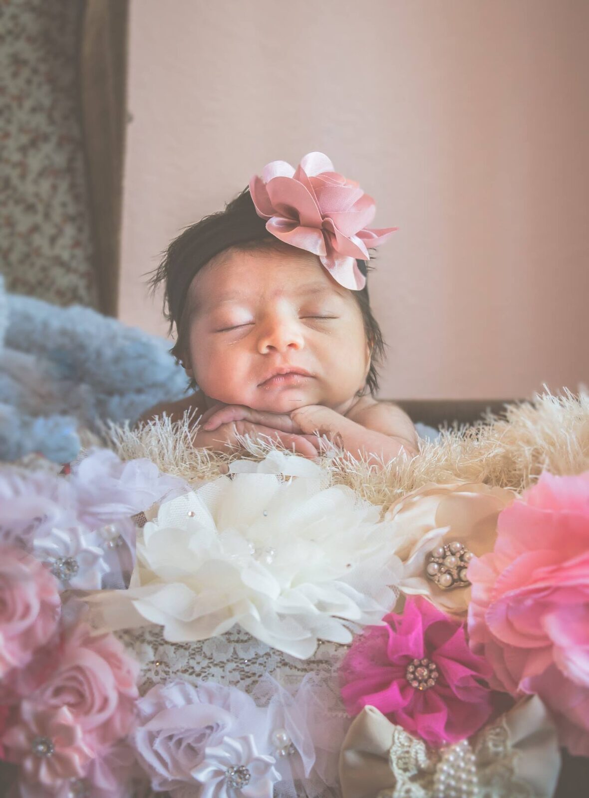 Newborn