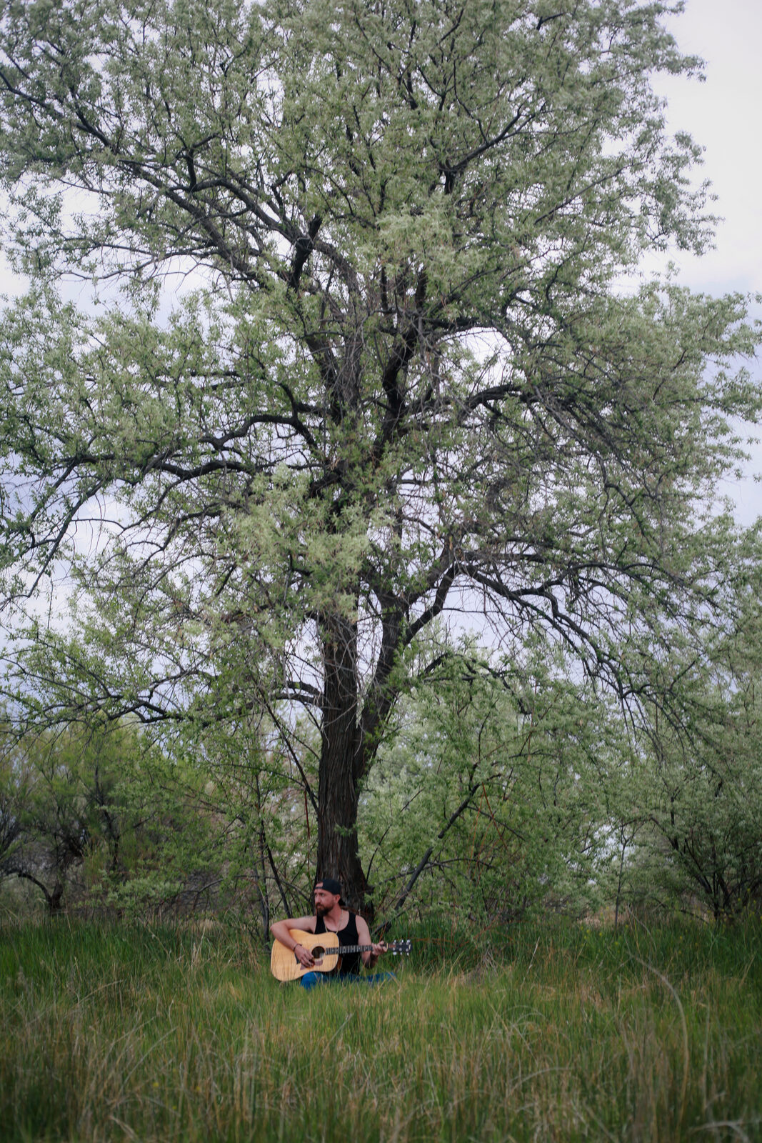Portraits