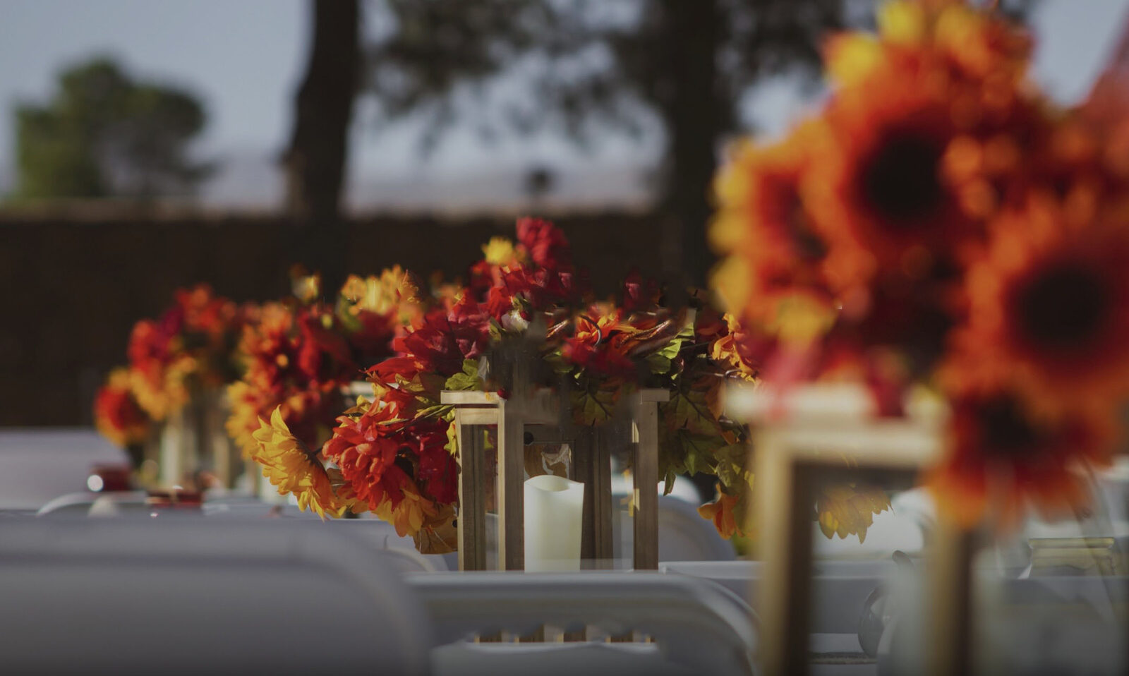 Weddings & Events